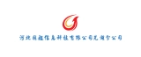 河北国超信息科技有限公司芜湖分公司的logo