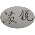 蕪湖新凌銳電氣有限公司的logo