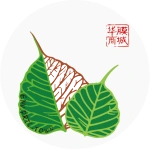 蕪湖科膜過濾器材有限公司