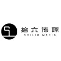 蕪湖本色文化傳媒有限公司的logo
