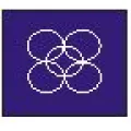 安徽立博藥業(yè)有限公司的logo