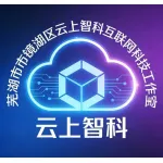 芜湖市镜湖区云上智科互联网科技工作室（个体工商户）