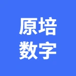 芜湖原培数字科技有限公司