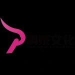 安徽鹏泰文化科技有限公司