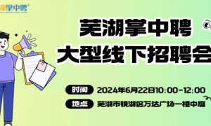 2024蕪湖掌中聘線下招聘會